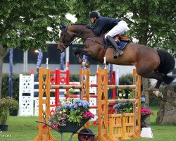 broodmare Tefnout D'Ouilly (Selle Français, 2007, from Poor Boy)