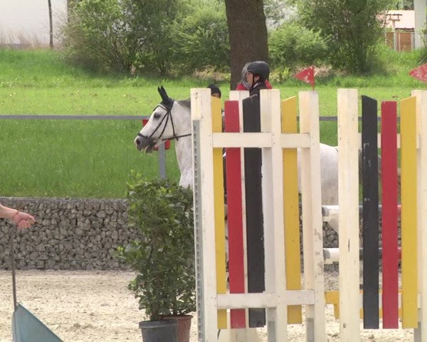 Reitturnier Ingolstadt-Hagau 2019