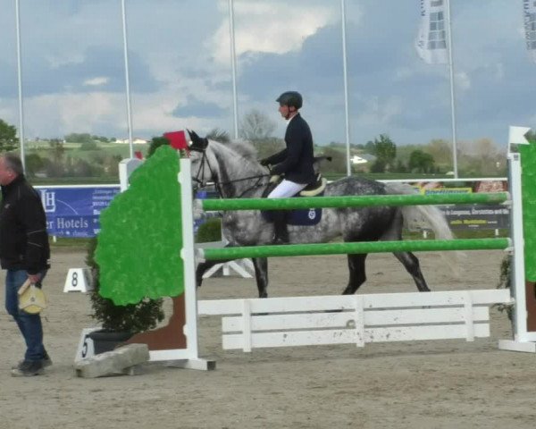 Reitturnier Langenau 2019