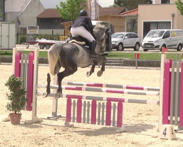 Reitturnier Ingolstadt-Hagau 2019