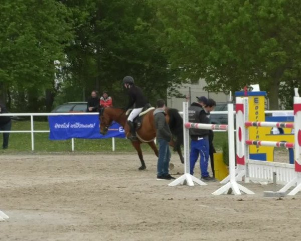 Reitturnier Langenau 2019