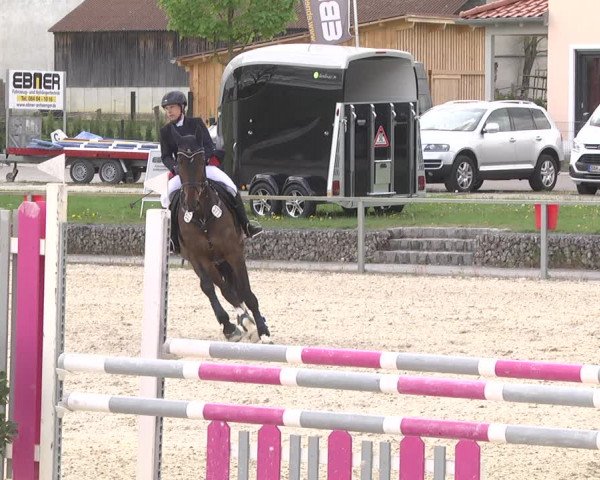 Reitturnier Ingolstadt-Hagau 2019