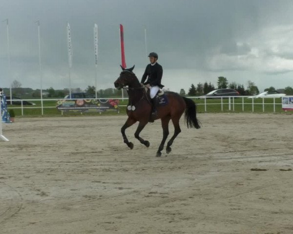Reitturnier Langenau 2019