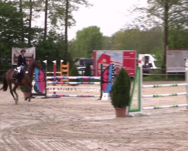 Reitturnier Nienberge 2019
