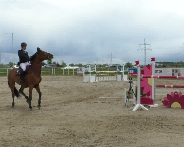 Reitturnier Langenau 2019