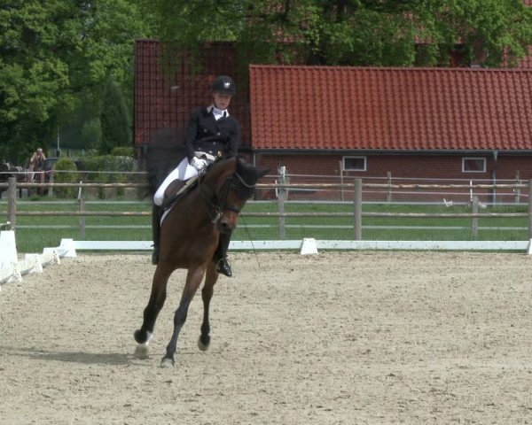 Reitturnier Warendorf, Reitstall am Rothenbach 2019