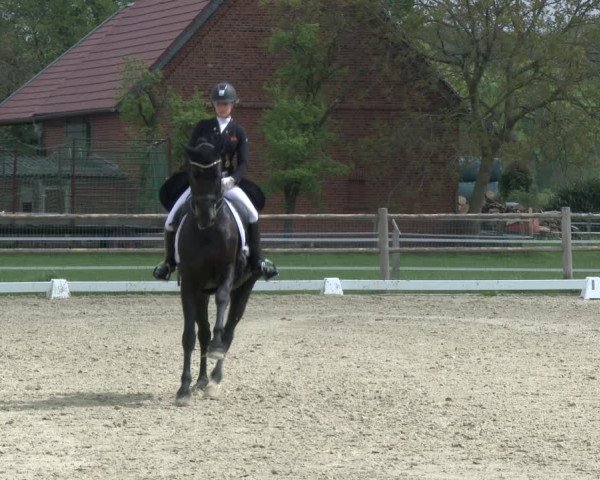 Reitturnier Warendorf, Reitstall am Rothenbach 2019