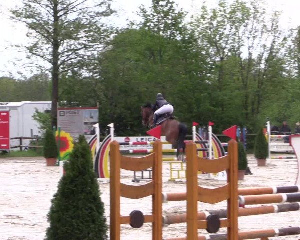Reitturnier Nienberge 2019
