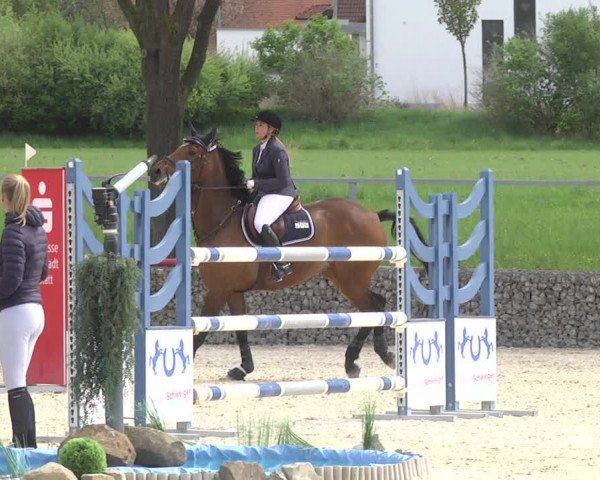 Reitturnier Ingolstadt-Hagau 2019