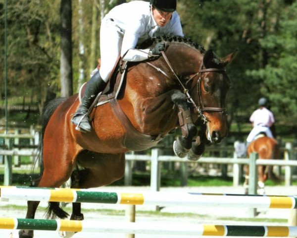broodmare Osiris D'Ouilly (Selle Français, 2002, from Quick Star)