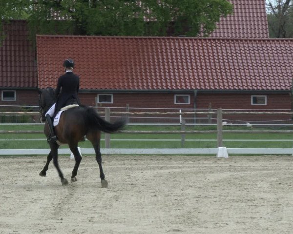 Reitturnier Warendorf, Reitstall am Rothenbach 2019