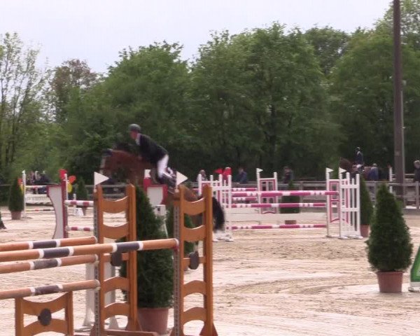 Reitturnier Nienberge 2019