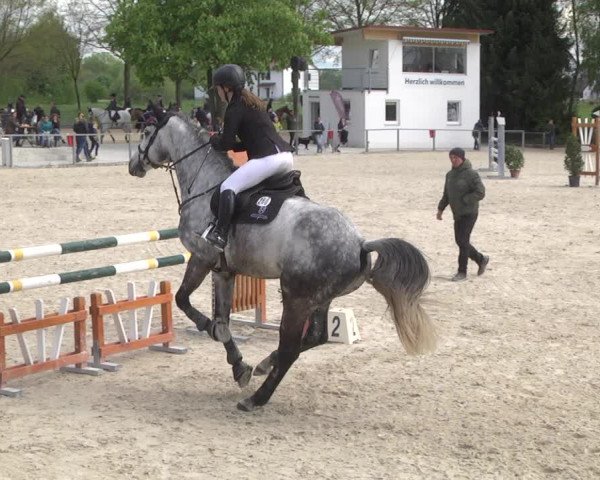 Reitturnier Ingolstadt-Hagau 2019
