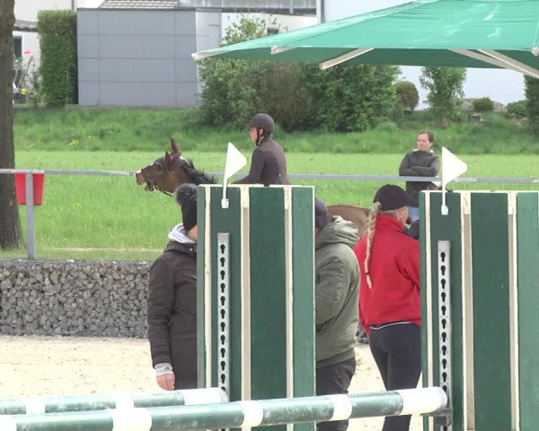 Reitturnier Ingolstadt-Hagau 2019