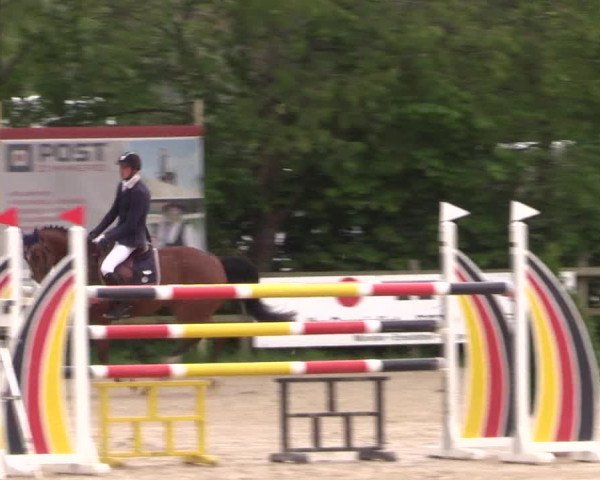 Reitturnier Nienberge 2019