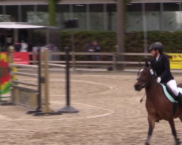 Reitturnier Nienberge 2019