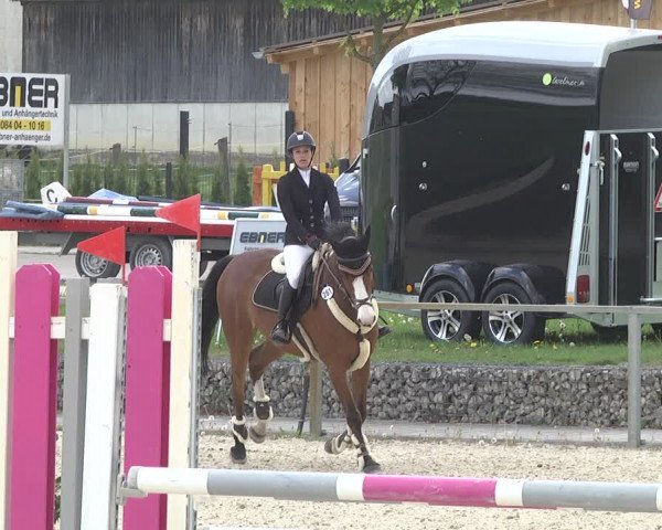 Reitturnier Ingolstadt-Hagau 2019