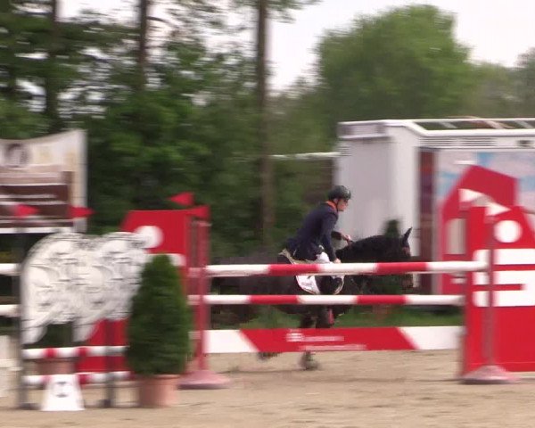 Reitturnier Nienberge 2019