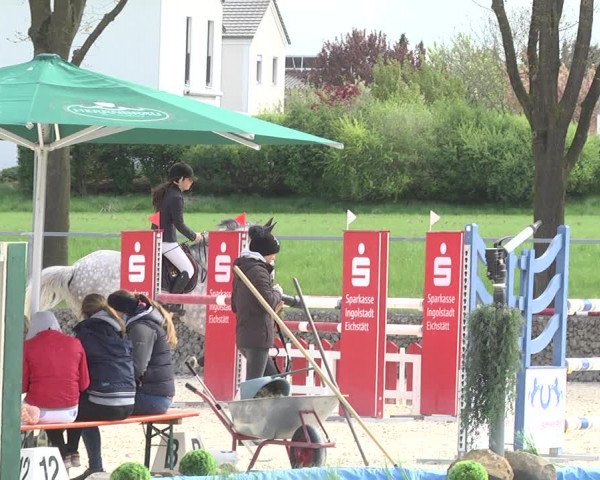 Reitturnier Ingolstadt-Hagau 2019