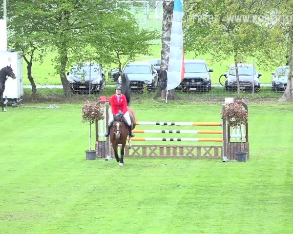 Reitturnier Uster 2019