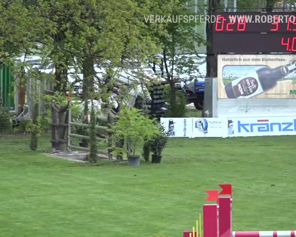 Reitturnier Uster 2019