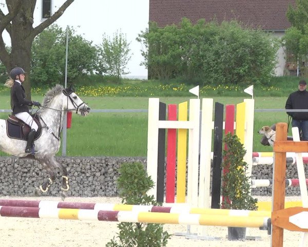 Reitturnier Ingolstadt-Hagau 2019