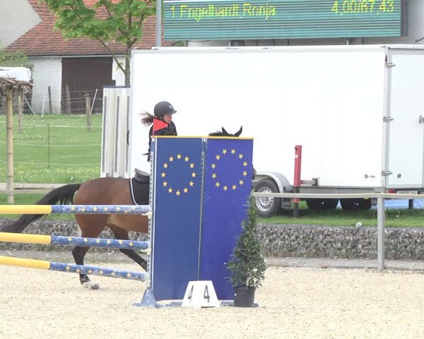 Reitturnier Ingolstadt-Hagau 2019