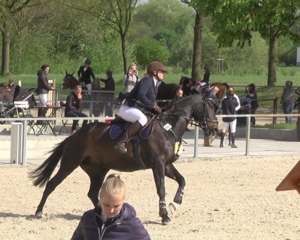 Reitturnier Ingolstadt-Hagau 2019