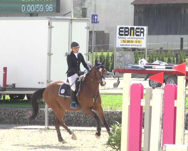 Reitturnier Ingolstadt-Hagau 2019