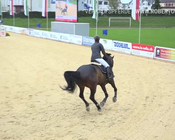 Osterspringen Amriswil 2019