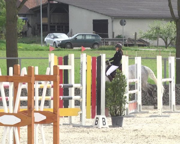 Reitturnier Ingolstadt-Hagau 2019