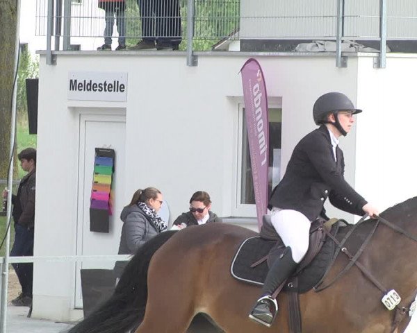 Reitturnier Ingolstadt-Hagau 2019
