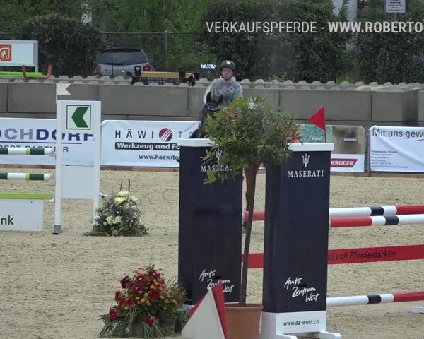 Osterspringen Amriswil 2019