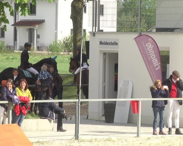 Reitturnier Ingolstadt-Hagau 2019