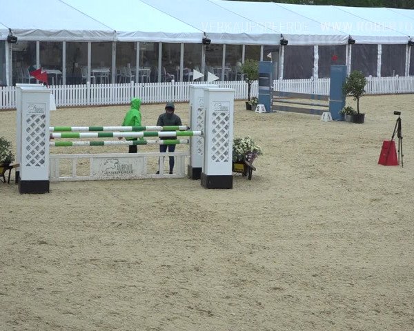 Osterspringen Amriswil 2019