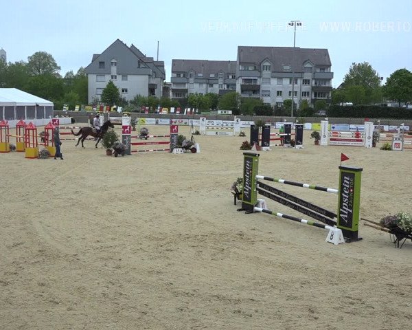 Osterspringen Amriswil 2019