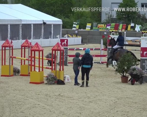 Osterspringen Amriswil 2019