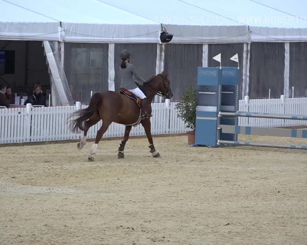Osterspringen Amriswil 2019
