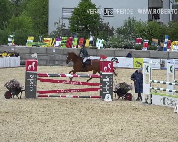 Osterspringen Amriswil 2019