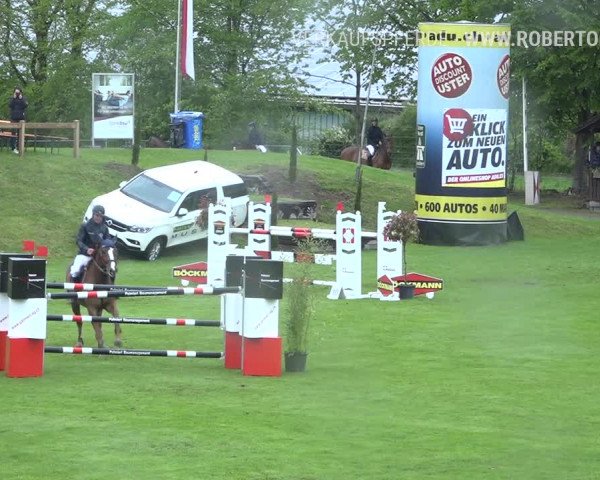 Reitturnier Uster 2019