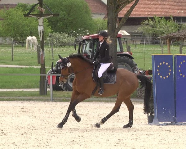 Reitturnier Ingolstadt-Hagau 2019