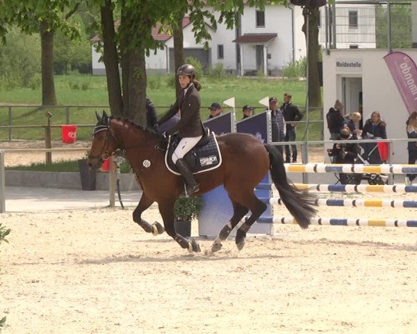 Reitturnier Ingolstadt-Hagau 2019