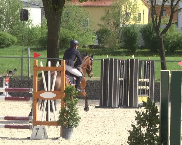 Reitturnier Ingolstadt-Hagau 2019