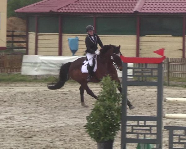 Reitturnier Schülp / Rendsburg 2019