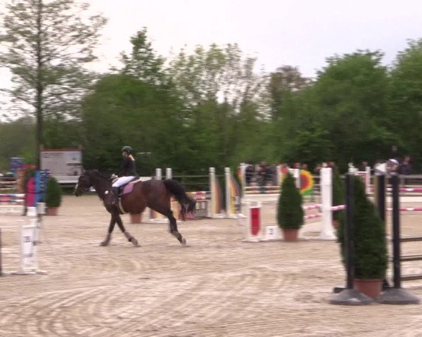 Reitturnier Nienberge 2019