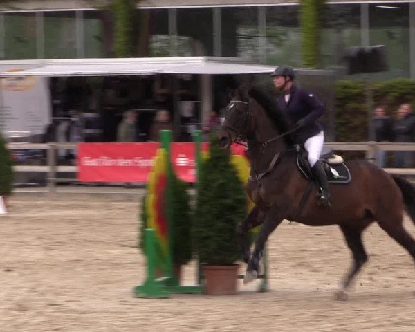 Reitturnier Nienberge 2019