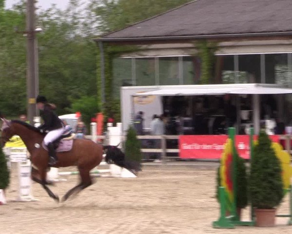 Reitturnier Nienberge 2019