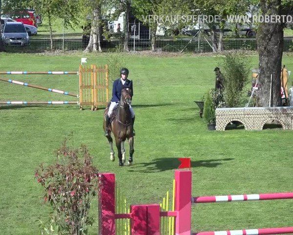 Reitturnier Uster 2019