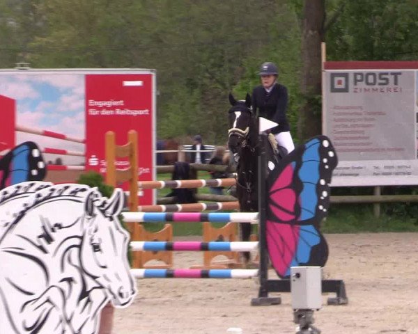 Reitturnier Nienberge 2019