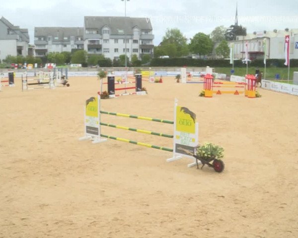 Osterspringen Amriswil 2019